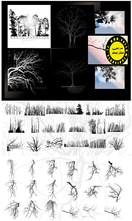 دانلود براش به صورت لایه باز با موضوع درختان بسیار متنوع برای فتوشاپ - Rons Trees Photoshop Brushes