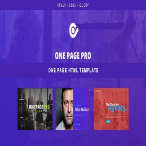 قالب سایت One Page Pro نسخه 1.0