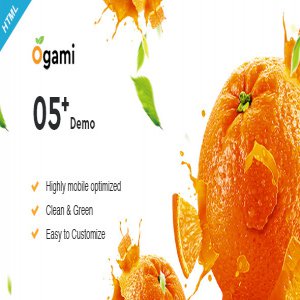 قالب سایت Ogami نسخه 1.0