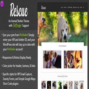 قالب وردپرس حیوانات خانگی Rescue نسخه 2.0.4