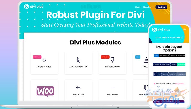 دانلود افزونه وردپرس Divi Plus – افزودنی پیشرفته و حرفه ای برای قالب Divi