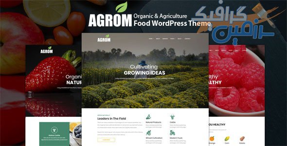 دانلود قالب وردپرس Agrom – پوسته مواد غذایی و محصولات ارگانیک وردپرس