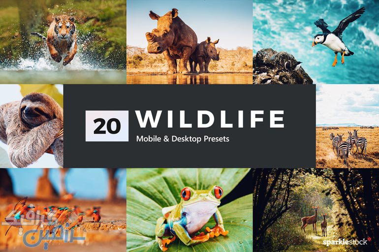 دانلود مجموعه ۲۰ پریست لایت روم فوق العاده Wildlife – نسخه دسکتاپ و موبایل