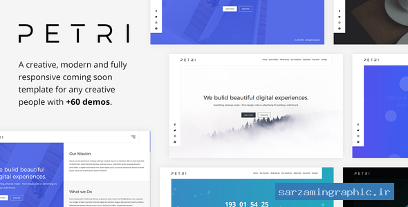 قالب در دست طراحی سایت PETRI