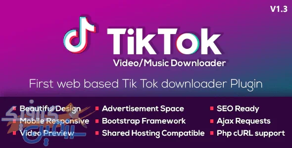 دانلود اسکریپت TikTok Video and Music Downloader with no Watermark