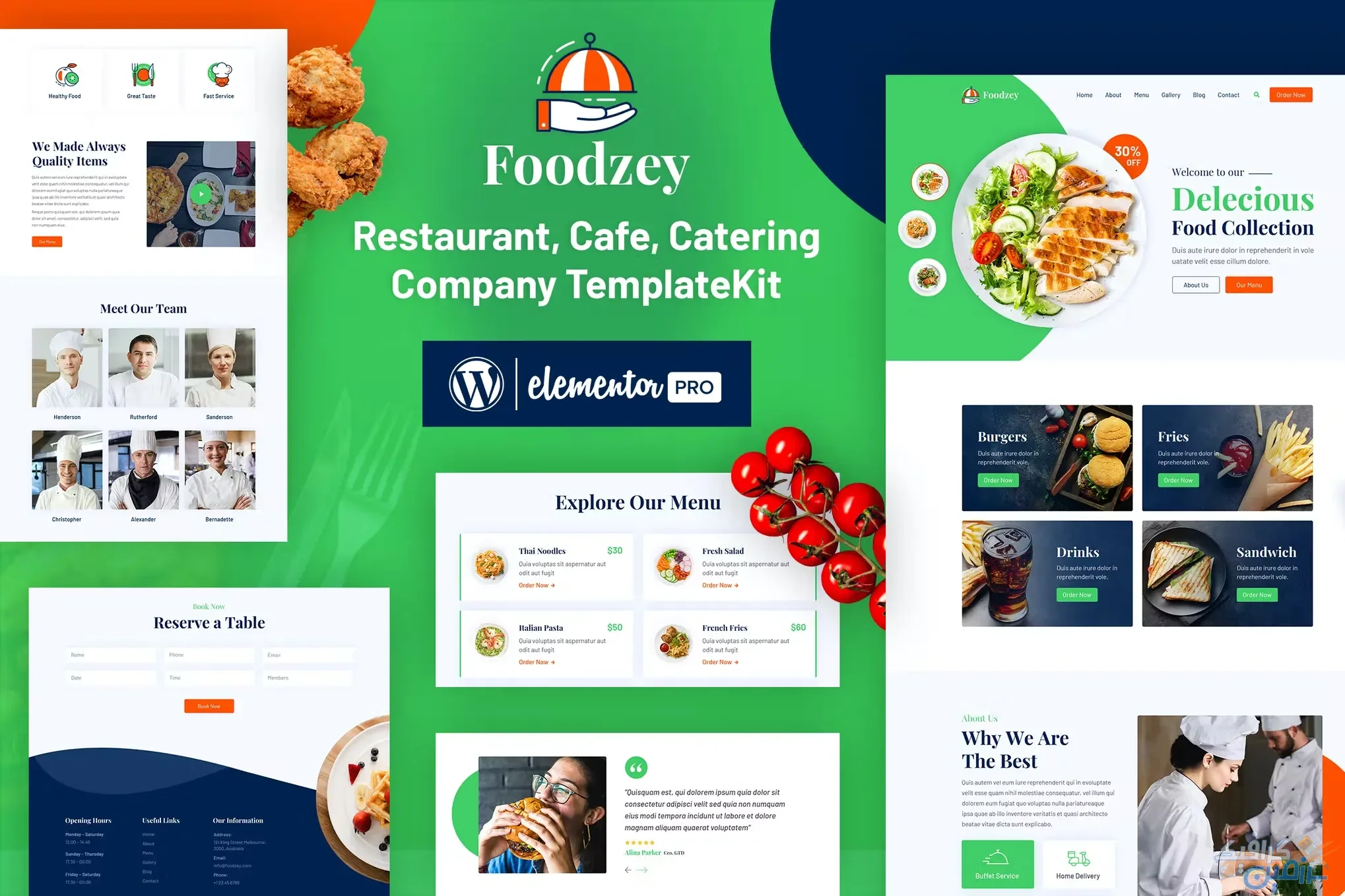 دانلود کیت و قالب المنتور Foodzey