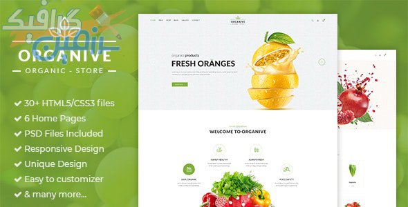 دانلود قالب سایت Organive – قالب محصولات ارگانیک و طبیعی HTML