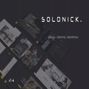 قالب سایت Solonick