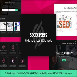 قالب سایت سئو SEOEXPERTS