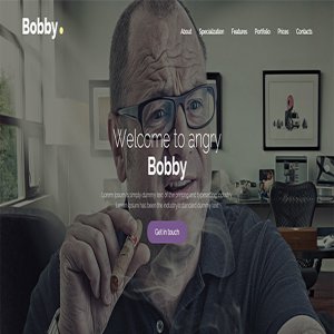 قالب سایت Bobby