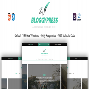 قالب سایت وبلاگی BloggyPress