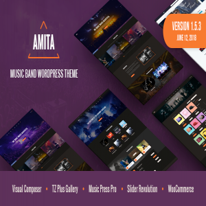 قالب وردپرس گروه موزیک AMITA نسخه 1.5.3 راست چین