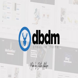 قالب تک صفحه ای وردپرس Dubidam نسخه 1.1.1