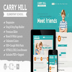 قالب وردپرس آموزشی مدرسه Carry Hill School نسخه 1.3.2 راست چین