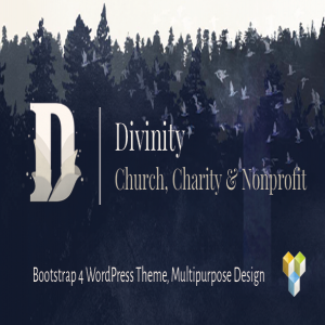 قالب وردپرس خیریه Divinity نسخه 1.3.1