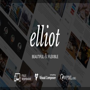 قالب وبلاگی وردپرس Elliot نسخه 1.0.0
