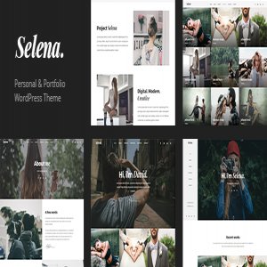 قالب وردپرس Selena نسخه 1.0.3