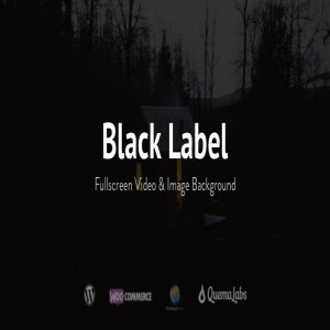 قالب چندمنظوره وردپرس Black Label نسخه 4.0.10