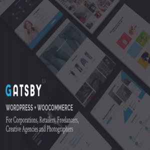 قالب وردپرس GATSBY نسخه 1.3