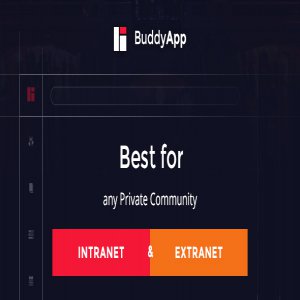 قالب وردپرس شبکه اجتماعی BuddyApp نسخه 1.5.7