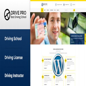 قالب وردپرس آموزشگاه رانندگی Drive Pro نسخه 1.2.1 راست چین