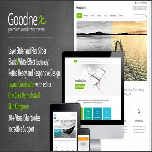 قالب وردپرس Goodnex نسخه 1.1.5