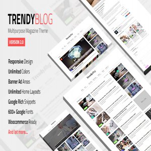 قالب وردپرس مجله TrendyBlog نسخه 2.1.0