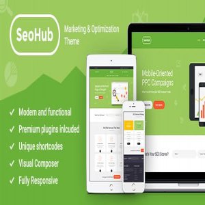 قالب وردپرس سئو و بازاریابی SEOHub نسخه 1.6