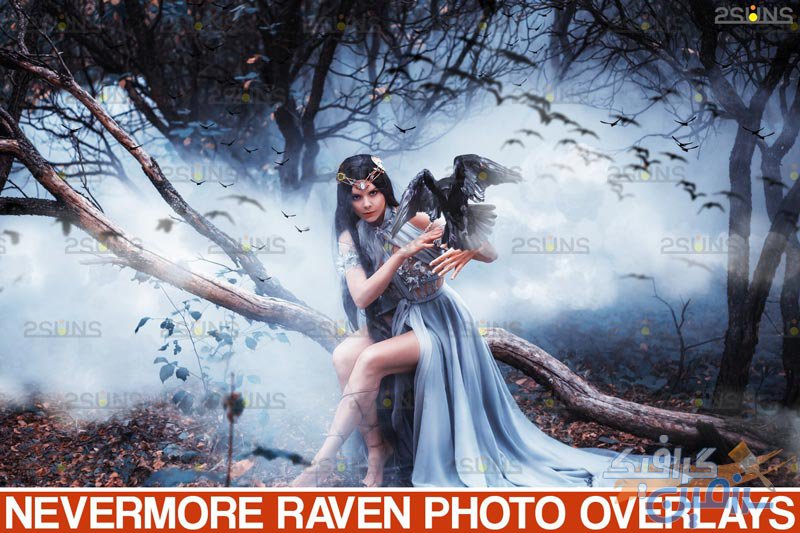 دانلود ۵۰ Halloween overlay Photoshop overlay Realistic raven