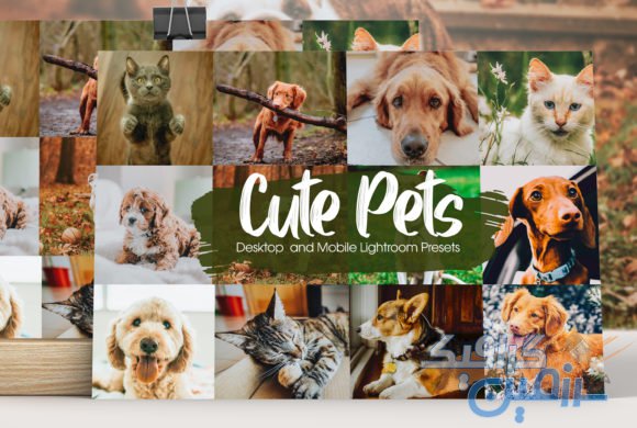 دانلود پریست لایت روم Cute Pets – پکیج ۱۶ عددی پریست لایت روم