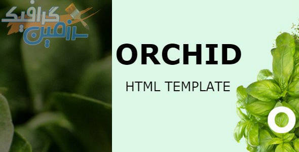 دانلود قالب سایت Orchid – قالب چند منظوره و واکنش گرا HTML