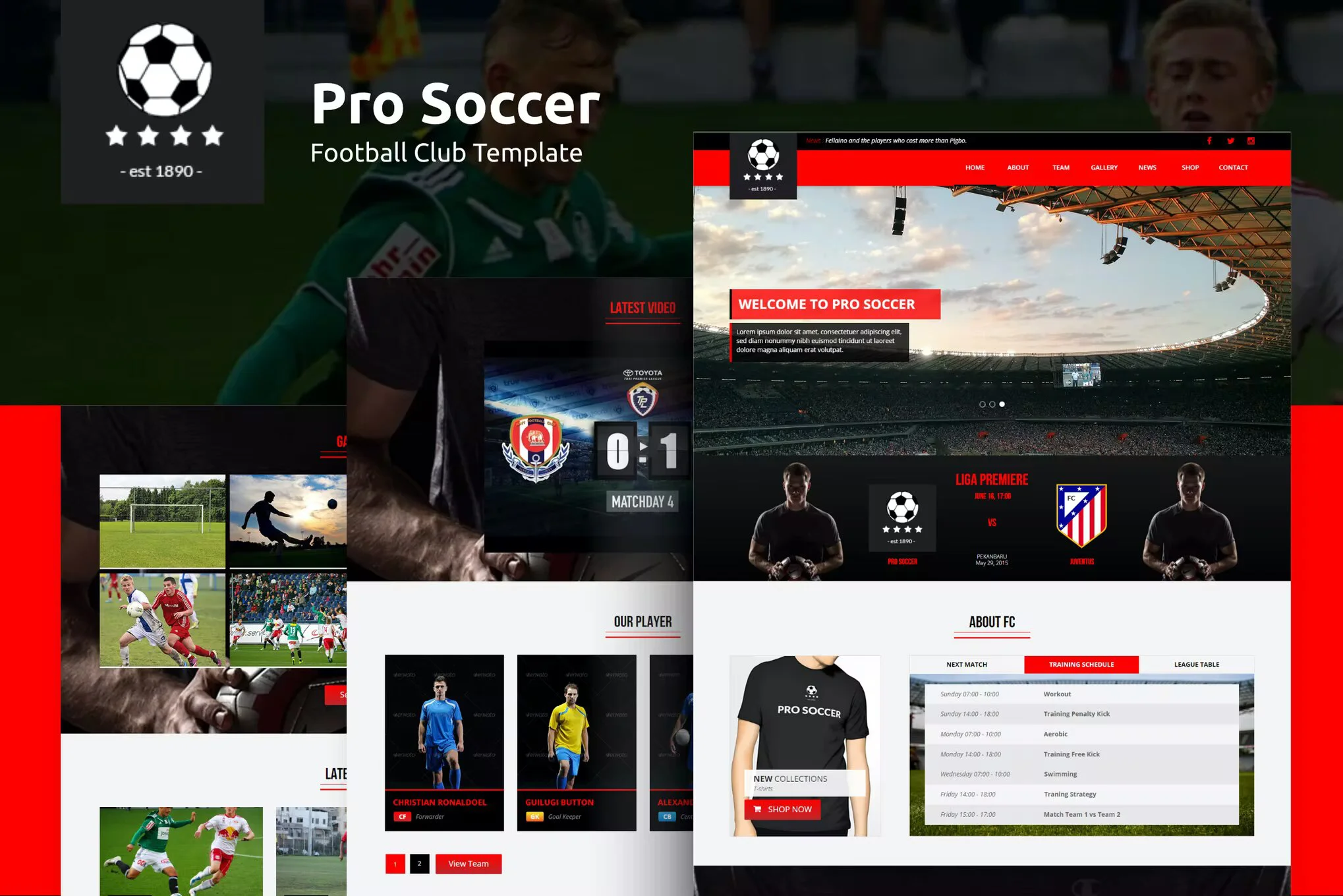دانلود قالب سایت Pro Soccer – قالب باشگاه فوتبال HTML
