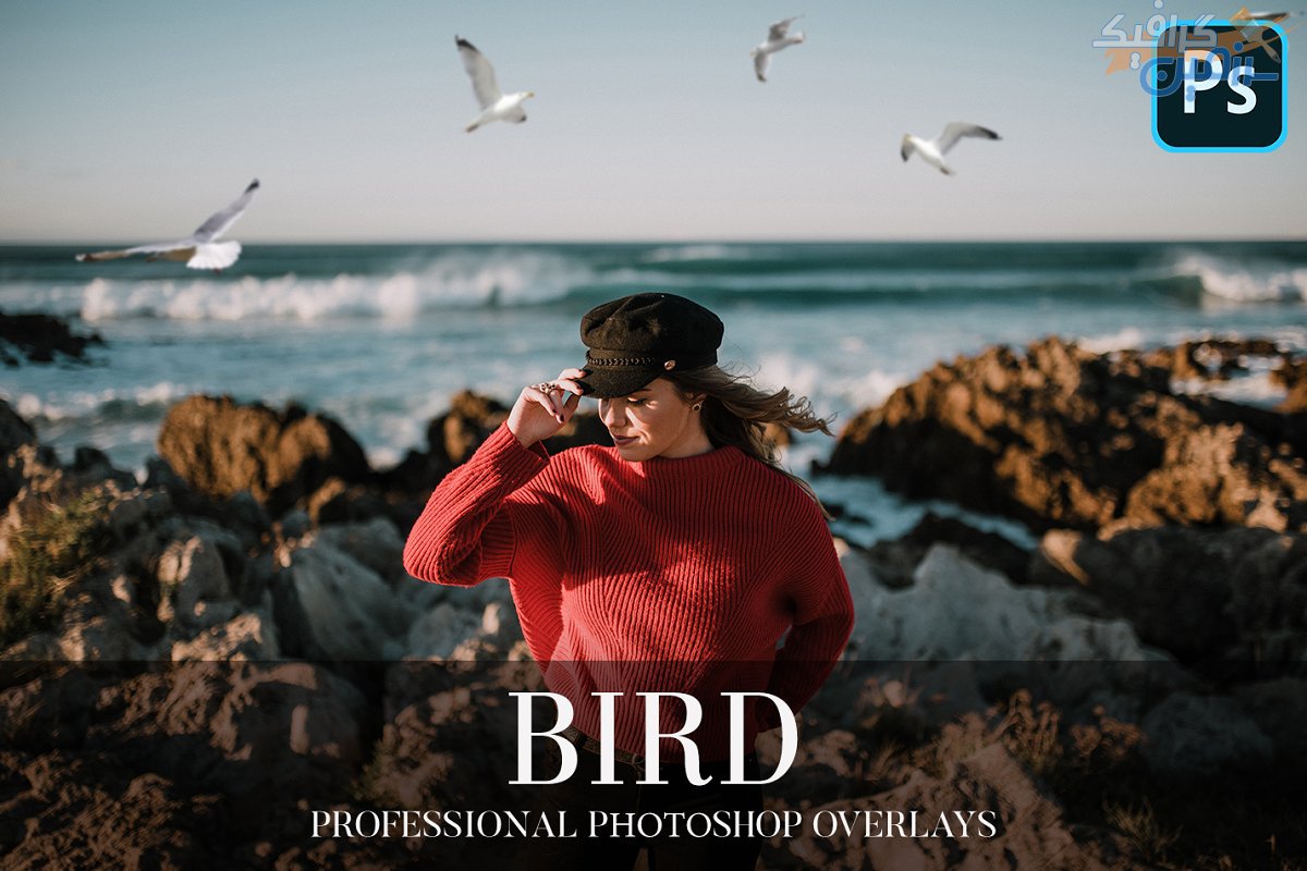 دانلود مجموعه ۲۵ تصویر PNG و OVERLAY فتوشاپ با موضوع پرندگان