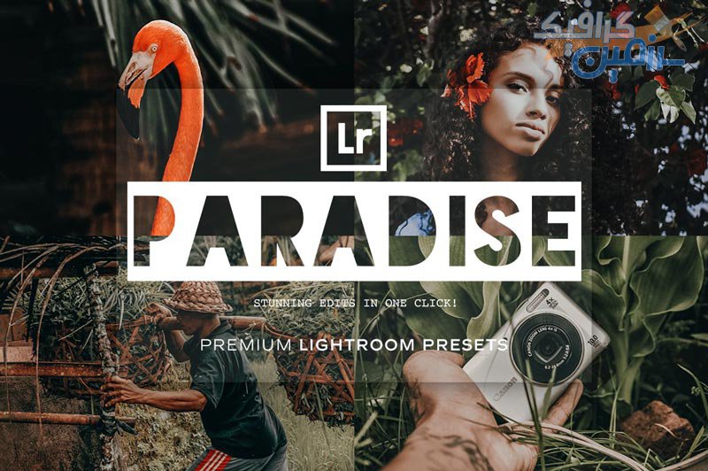 دانلود مجموعه پریست لایت روم Paradise – دو نسخه دسکتاپ و موبایل